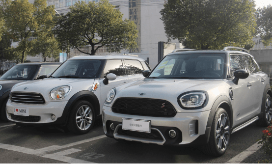 宁波宝恒mini卓悦客户体验之星金凤