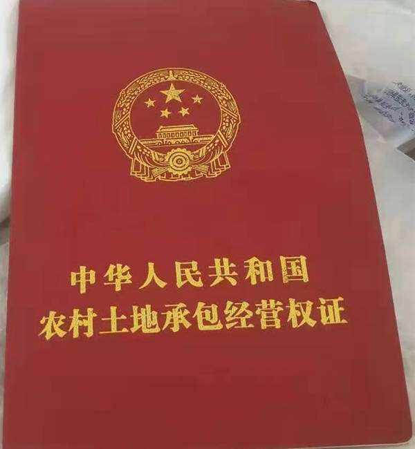 原创河南周口一块土地有双证太康县农业局某领导称要调查拒绝办理