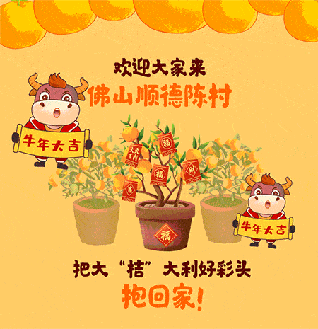 一盆陈村年桔的独白:各位街坊,今年真的太"南"了!