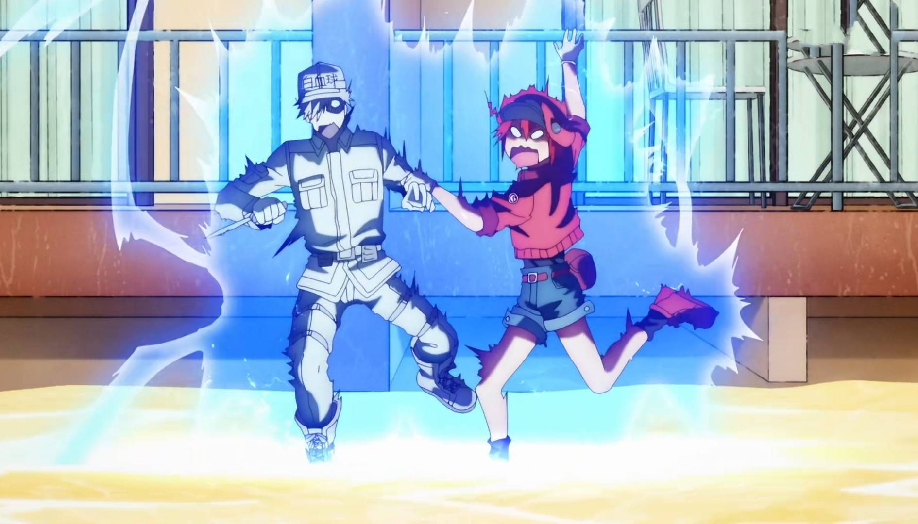 工作细胞第二季白细胞1146有多拼命差点死在痤疮杆菌手里