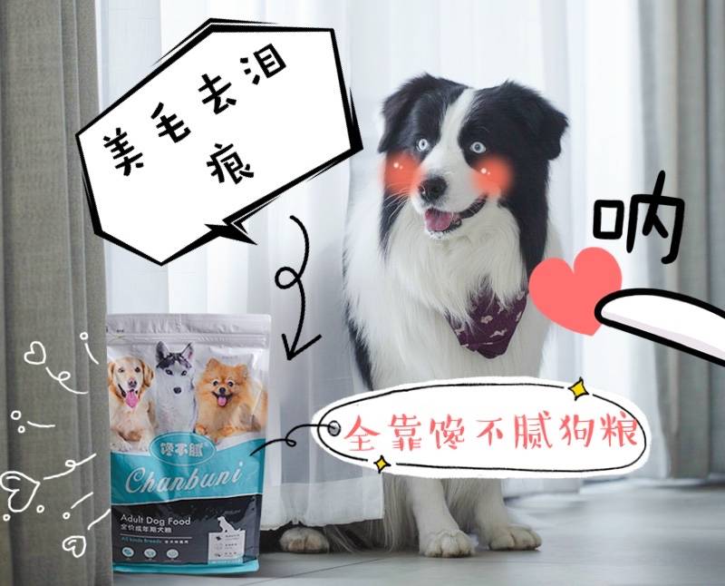 狗为啥不喜欢吃水果 b2ce086c8a4f44a08fb058ecbeb3695d.jpeg