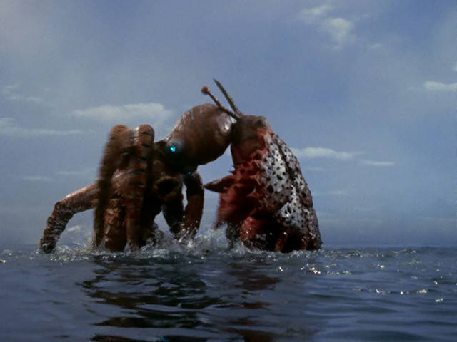 奥特曼中的章鱼怪兽图片