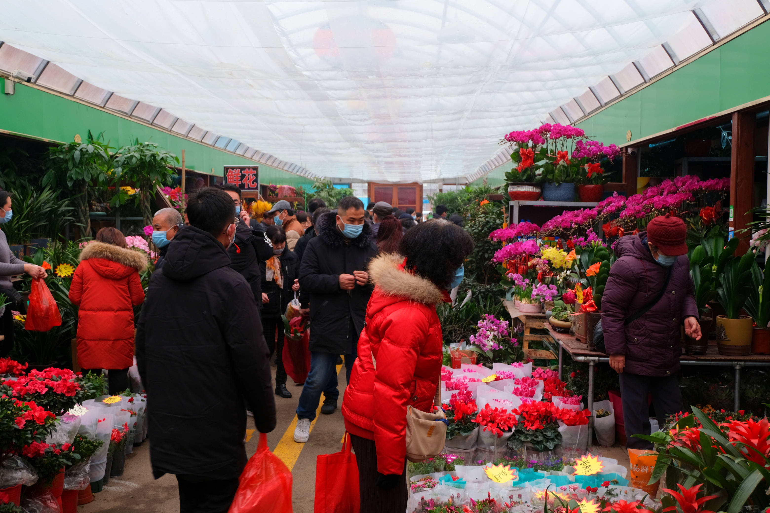 济南花卉市场图片