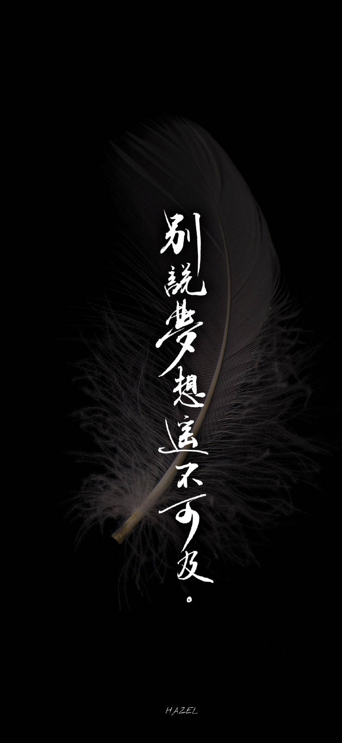 穿越人海,只为见你一面_梦想