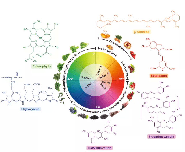 天然色素圖譜從上至下按順時針順序依次為β胡蘿蔔素,花青素,原花青素
