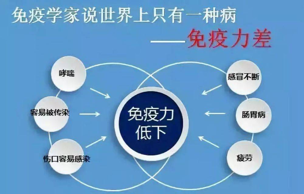 人體免疫系統是最好的醫生,怎樣才能提高身體的免疫力呢?_手機搜狐網