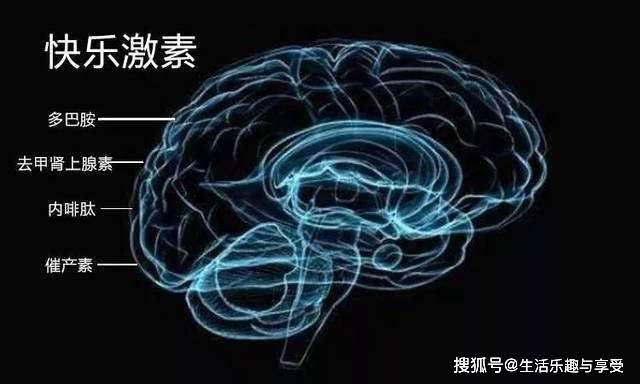 2365667db0fc4a5faa17e59f52e51eb4.jpeg