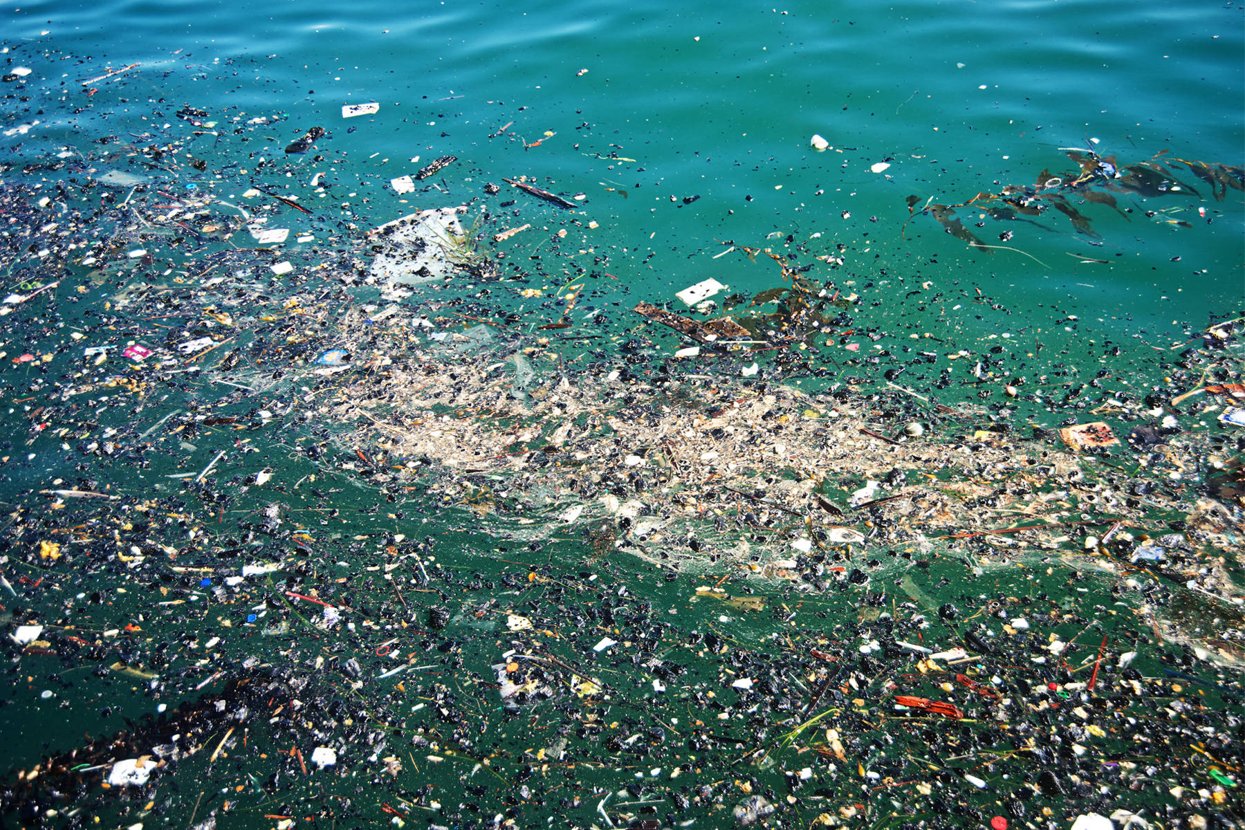 Horrifying images show devastating impact of plastic pollution as ...