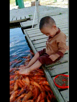 图片[1]-GIF搞笑段子：孩子：你爸爸没少带你去做鱼疗把，这么会享受！-妖次元