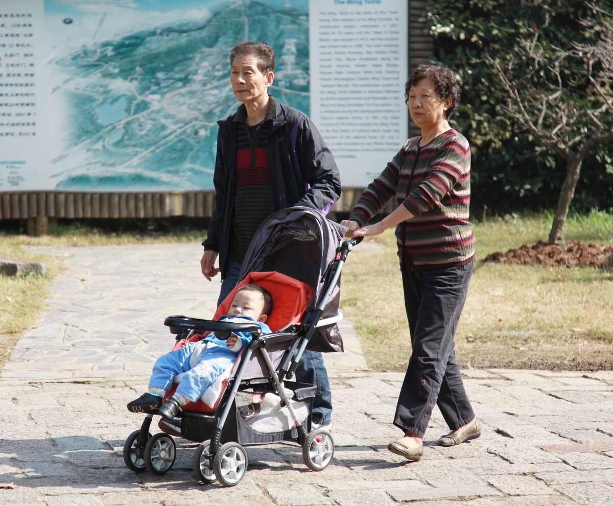 "打卡式带孙子"正流行,65岁的老人坦言:保持距离,互不干涉