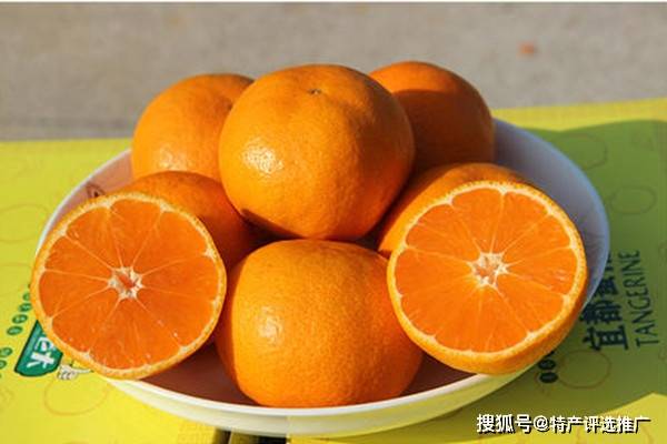 宜都蜜柑品类众多宫川,龟井,鄂柑2号,尾张,南柑等
