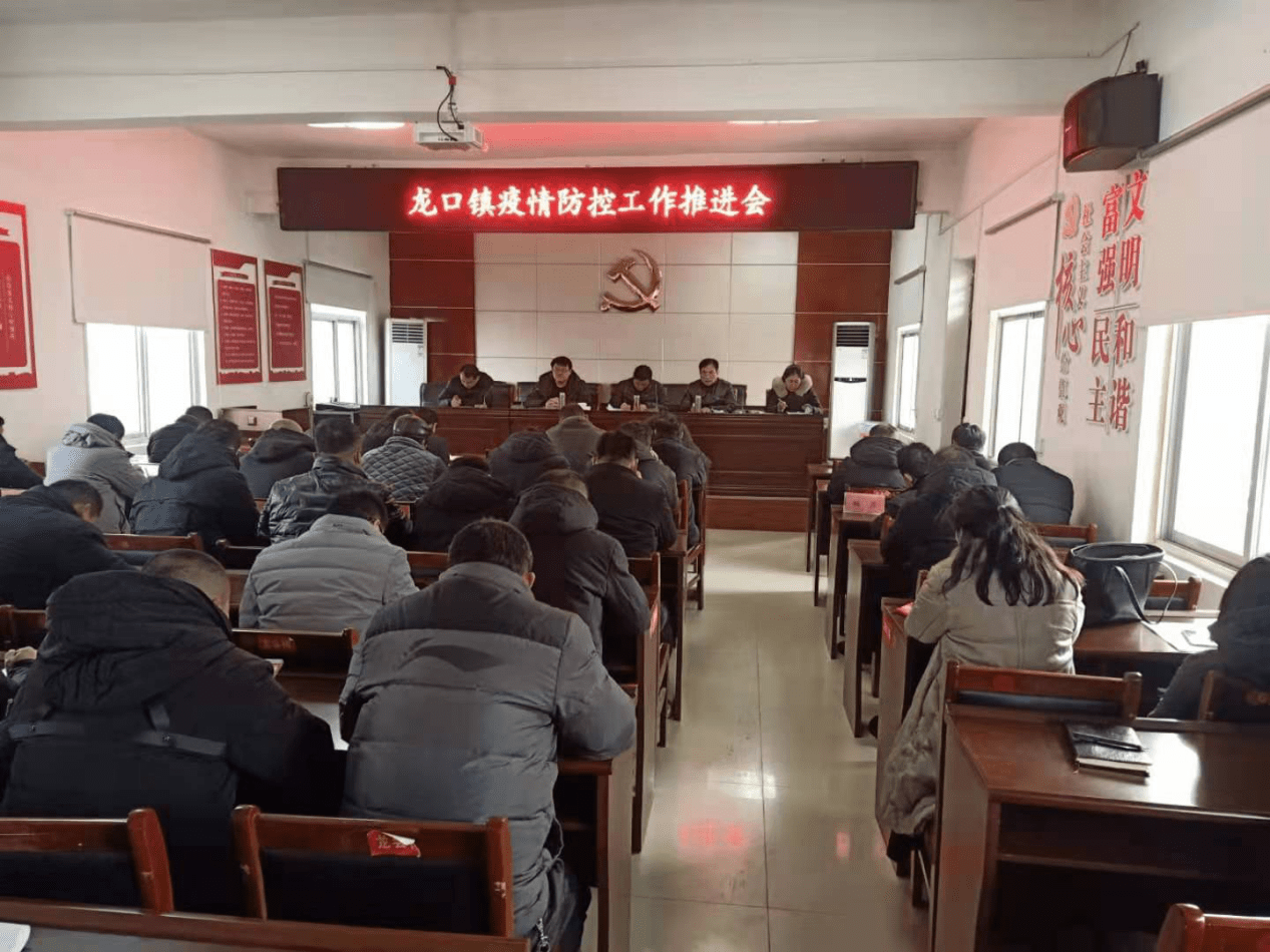 新蔡县龙口镇多措并举扎实做好疫情防控工作