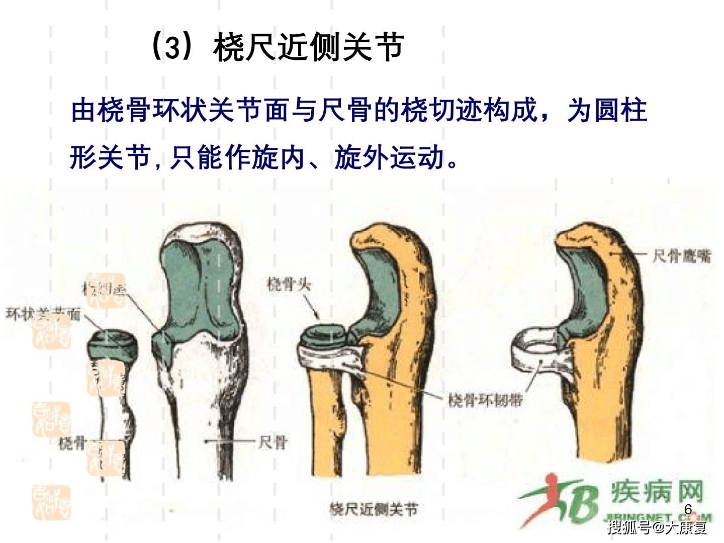 肘關節運動學