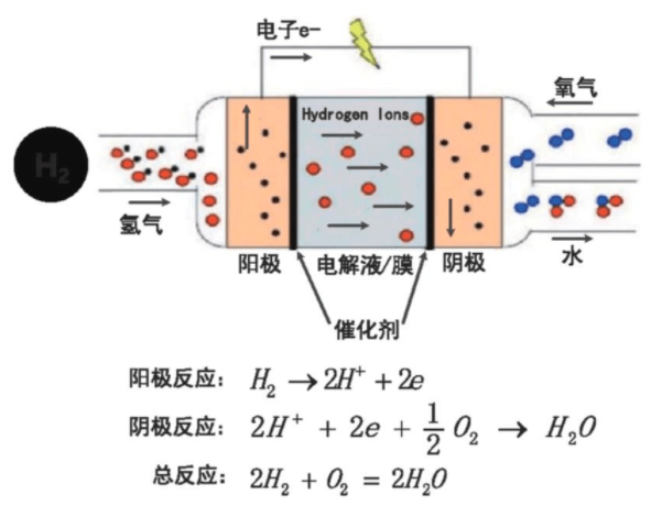 燃料电池最全科普 反应