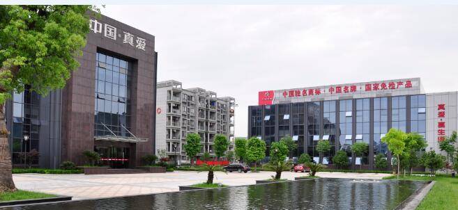 真爱美家IPO：超85%收入来自境外市场存销