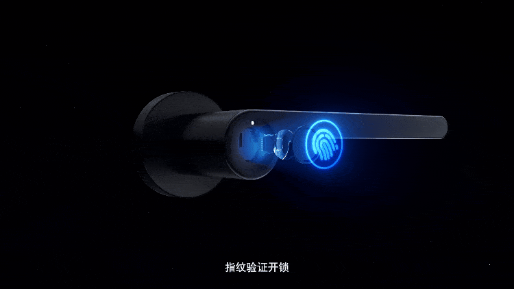 一张图看懂顶固室内房门指纹锁有多强!
