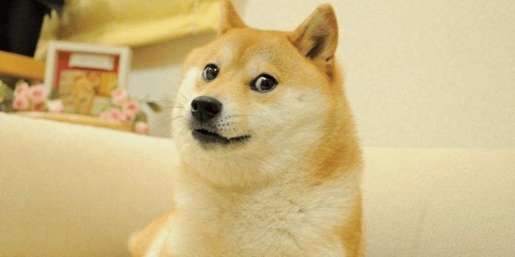 8315325ff451410983222e8221e5b8ea.png