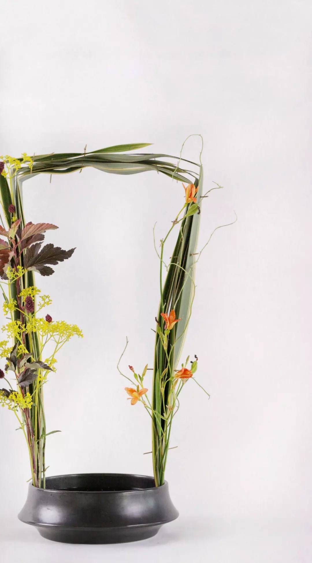 花艺师进阶培训教你玩转各种叶材