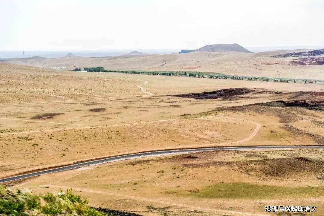 反转再反转敦煌防护林究竟去哪了