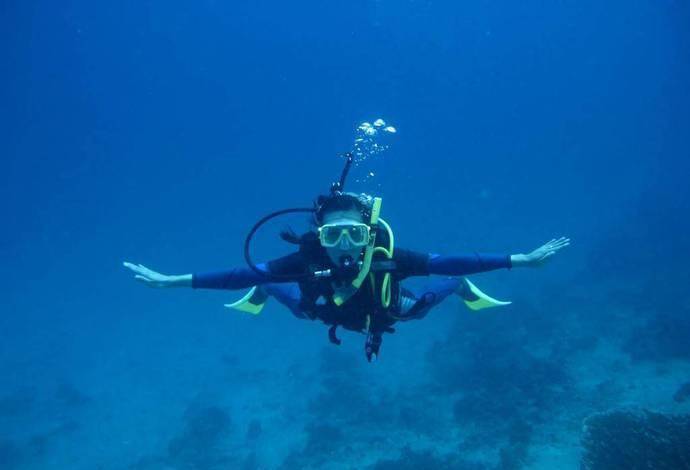 鲸鱼有多大可以活多少年 3c0896109ed2402787eecaaece3b1401.jpeg