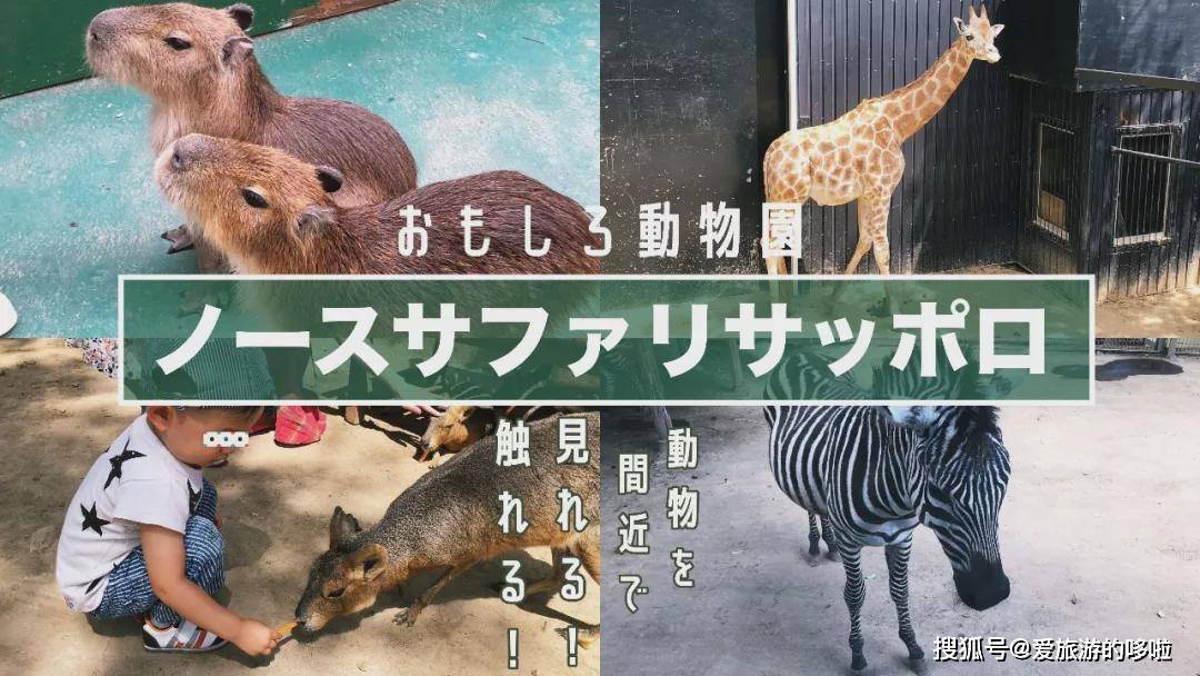 日本这个动物园，入园要签生死状？
