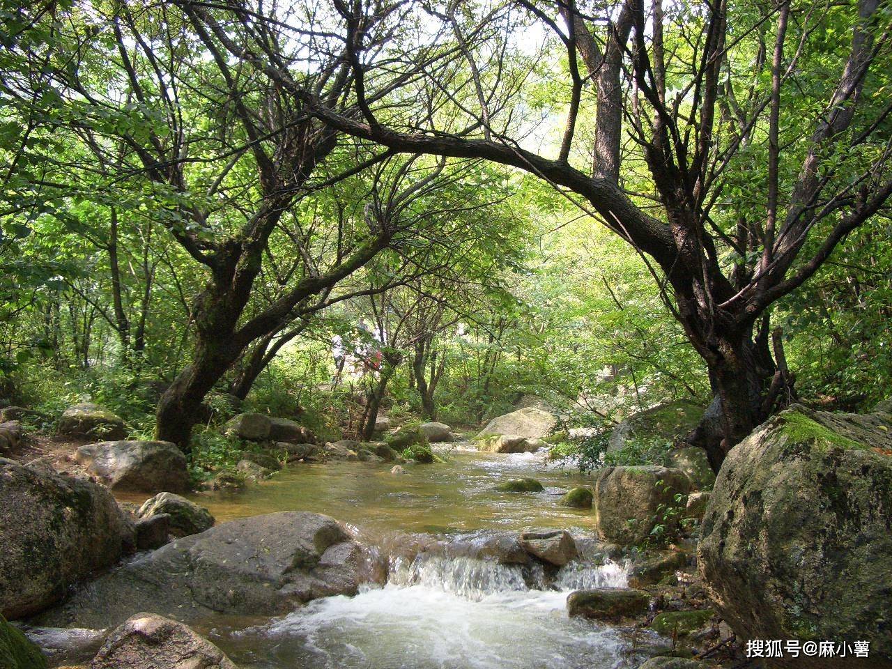 河南又一热门A级景区破产，经营不善负债过亿，但不影响游客游玩