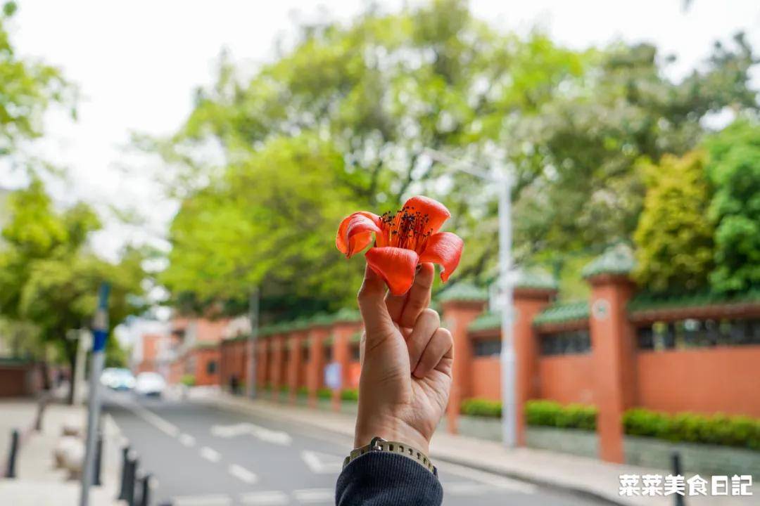 比拼多多便宜，比淘宝好逛！这宝地竟没几个人知道！