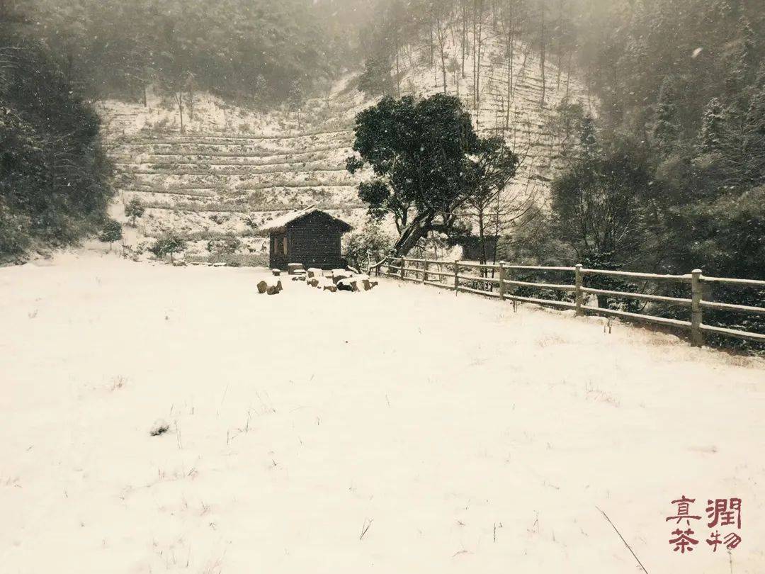 润物堂有机自然农法生态庄园茶探索（四）——水流