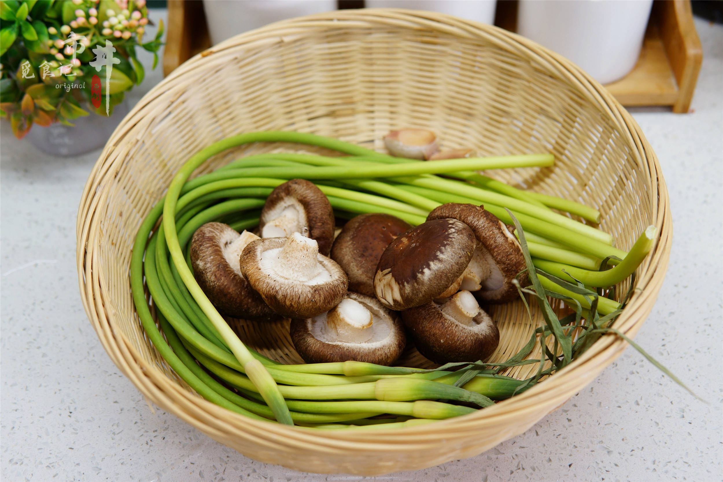 炒什么菜可以放蘑菇 767bb324088940b993c48a767f55cb67.jpeg