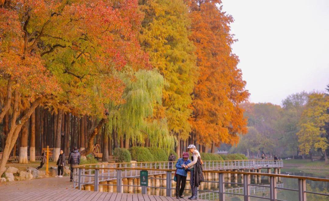 武汉最古老的公园之一，一到秋天美到爆，外地游客很少去