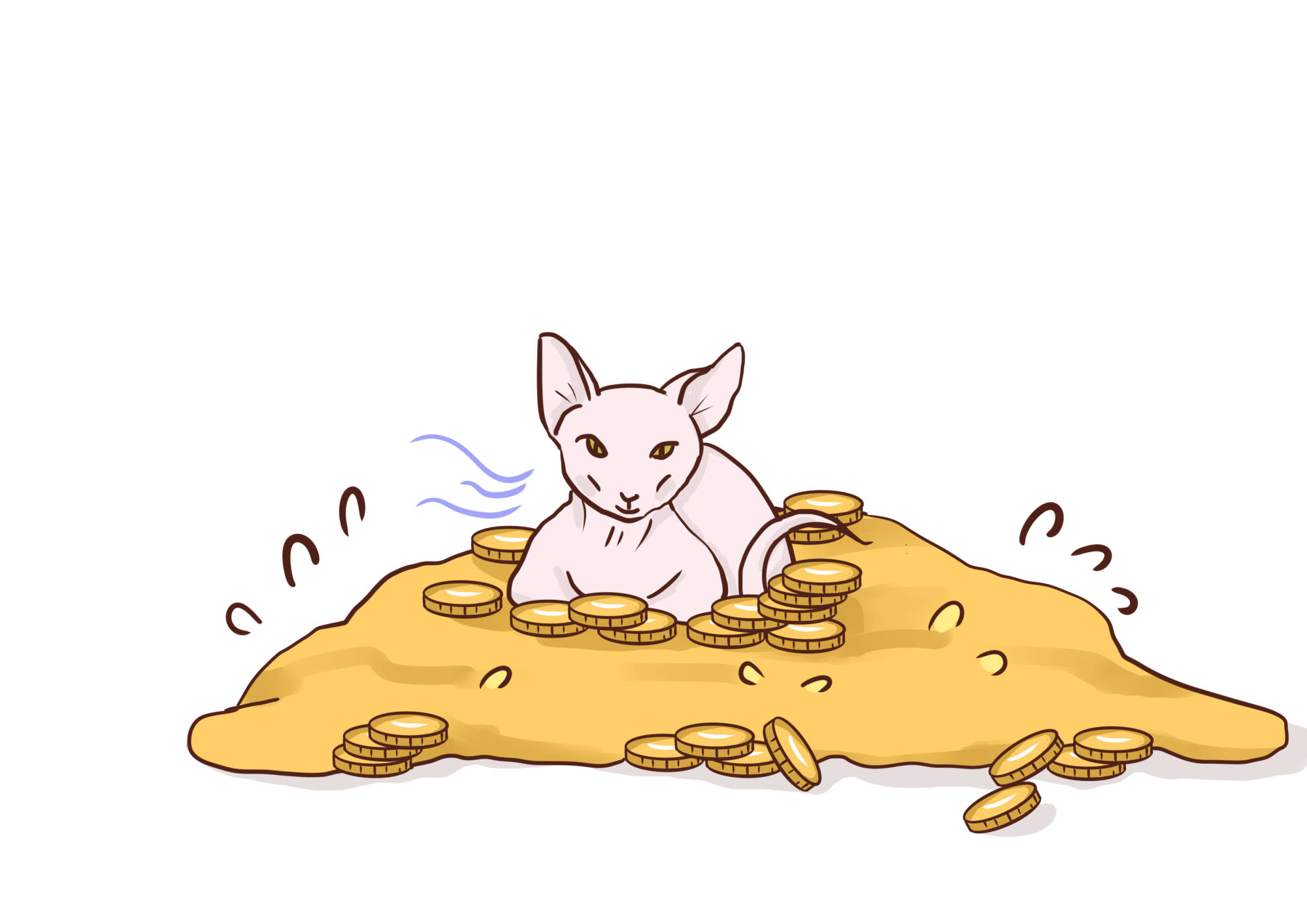 原创无毛猫长得丑为啥还卖得贵新手选择要三思