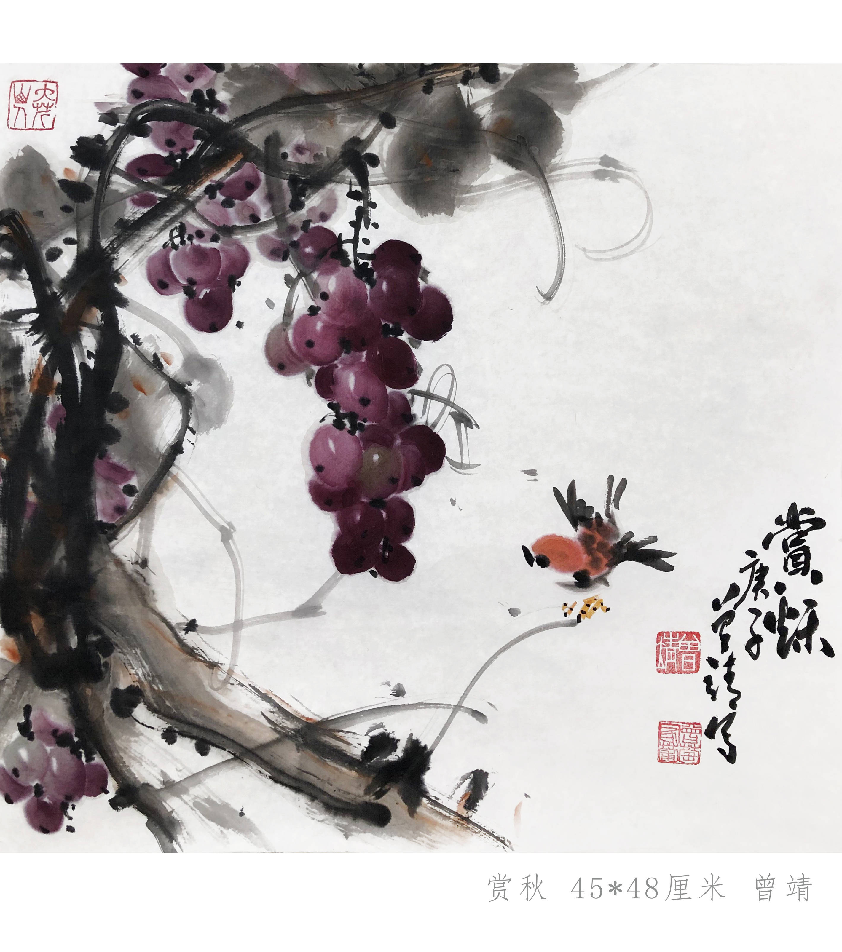 画家曾靖与他的中国画葡萄配小鸟麻雀，松鼠-搜狐大视野-搜狐新闻
