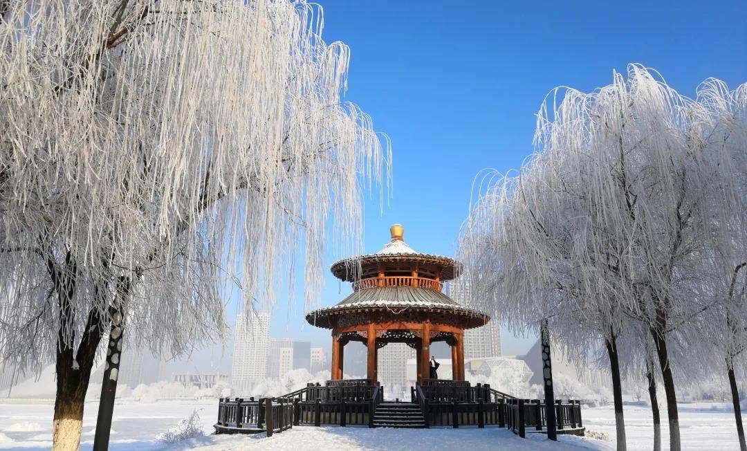 【图说示范区】瑞雪饰晨曦 雪景美如画