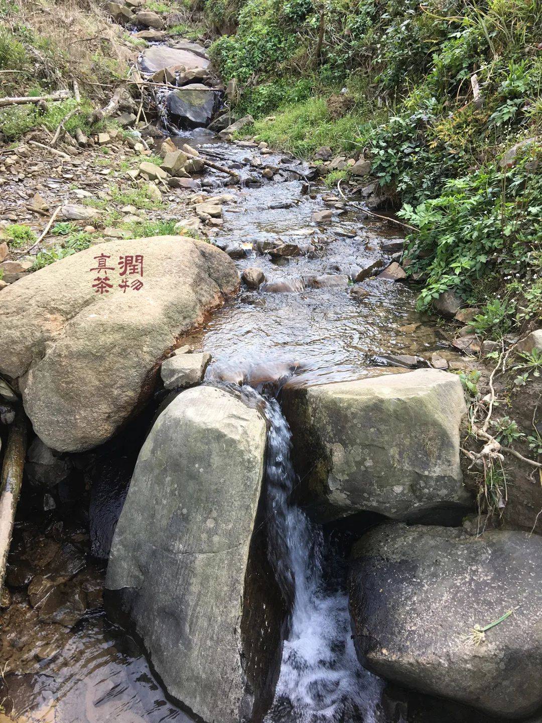 润物堂有机自然农法生态庄园茶探索（四）——水流