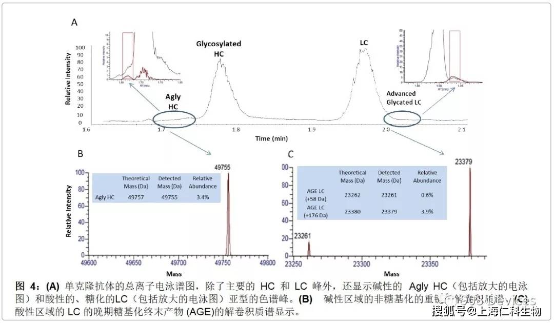 测定蛋白质的含量原理是什么意思_蛋白质凝胶是什么(2)