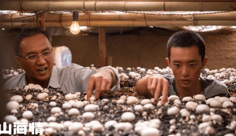 《山海情》带观众看"种菇"也能爆火?没办法,正午阳光太会拍了