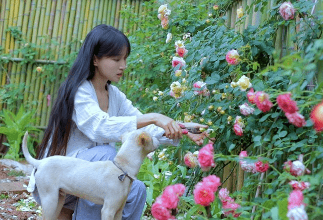 李子柒田园生活的照片图片