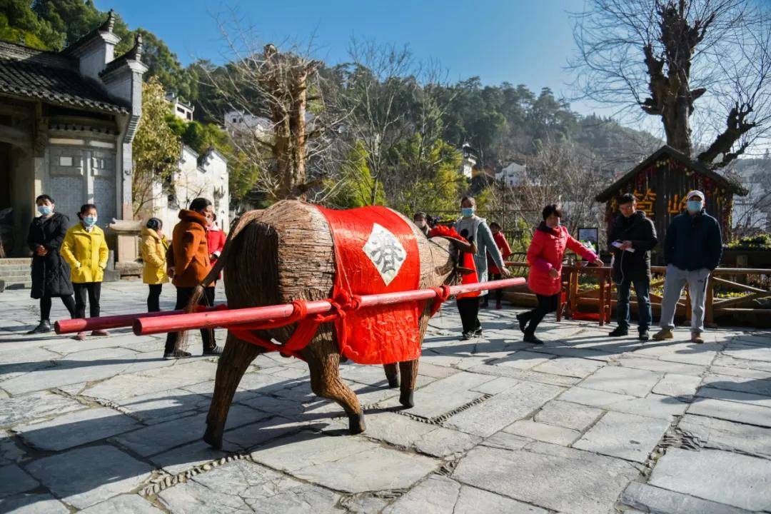 今日立春鞭牛催耕迎春来静待万亩黄花开