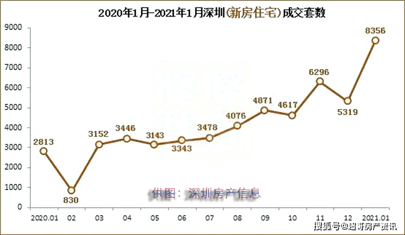 深圳春节留深人口_深圳人口(2)