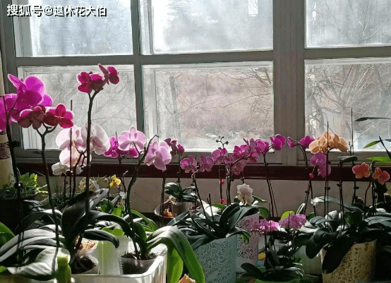 c30481e8ad024fc9ae0786a220a6a28c.png