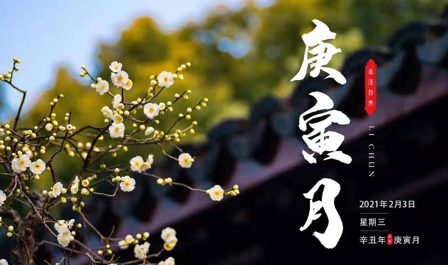 庚寅月八字日柱戊己土之人月运_辛丑年