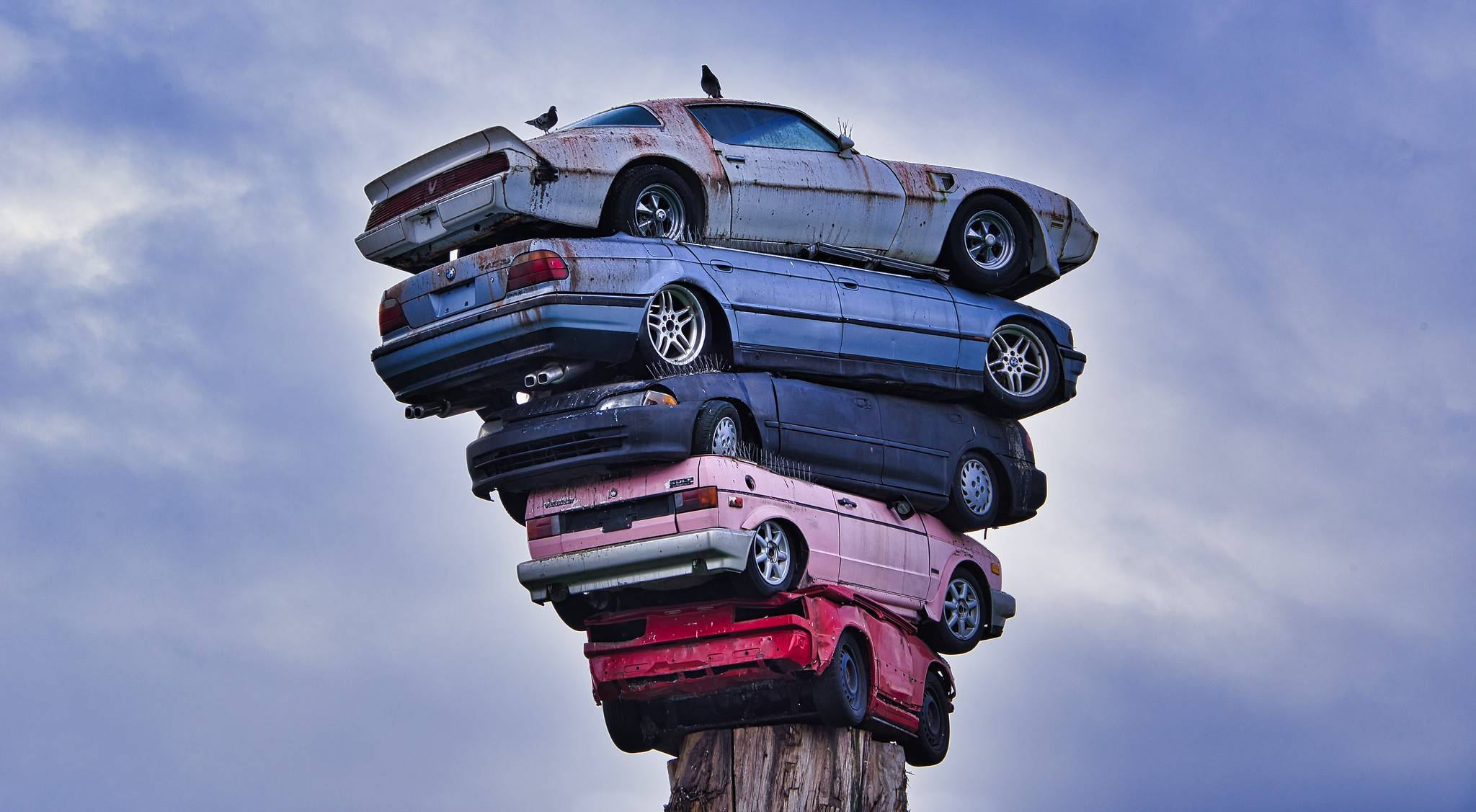 加拿大街头艺术品:5辆车叠罗汉飞在树上,艺术家的脑袋让人措手不及