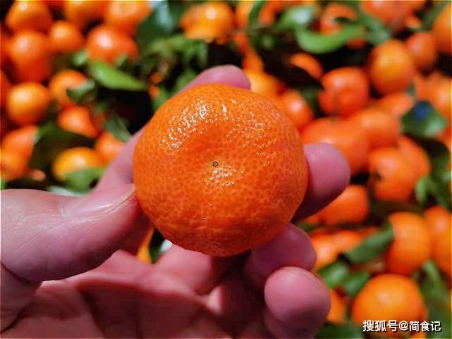 如何挑选大果砂糖橘 5a70c792ba1544abacce905a554bff7c.jpeg