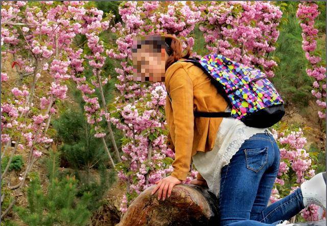 中国式赏花：春天来了，树上开满了大妈和小孩