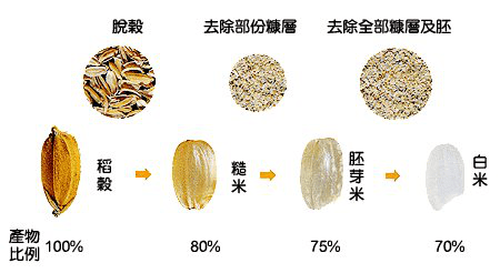 惊 网红宝宝胚芽米 竟然是这样的工厂生产出来的 大米 惊 网红宝宝胚芽米 竟然是这样的工厂生产出来的 大米