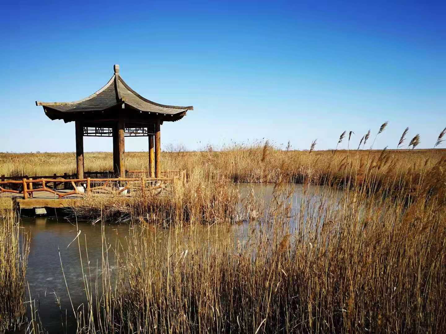 河南湿地保护条例__河南湿地公园建设项目
