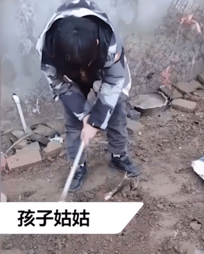过年什么时候杀鸡好 1667ca561ec040278e895dd89e2a07f6.png