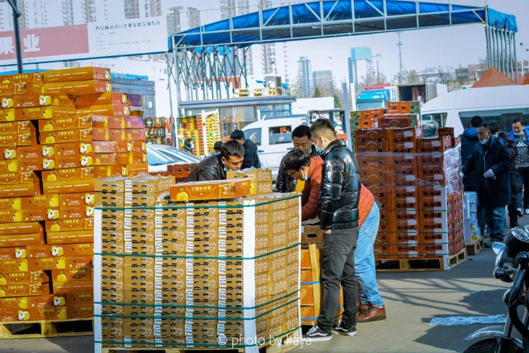 年前搞批发,去雨润赶一场"水果大集"!