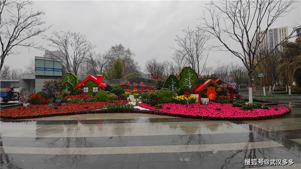 原創雨中走進漢口解放公園看花開了沒有