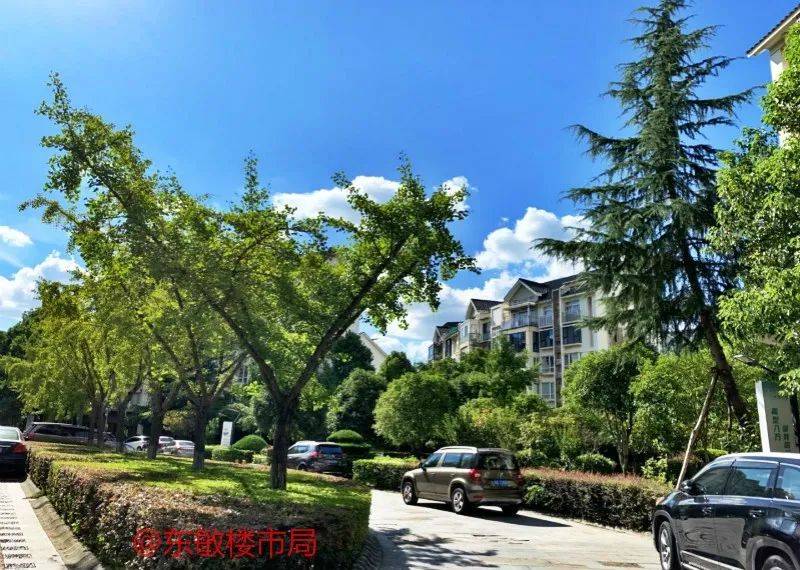 ����|10���ס�ڰ˷�С������,�����߽���ʵ�İ˷�С��!